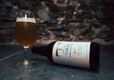 Soirée de lancement de La Tokée